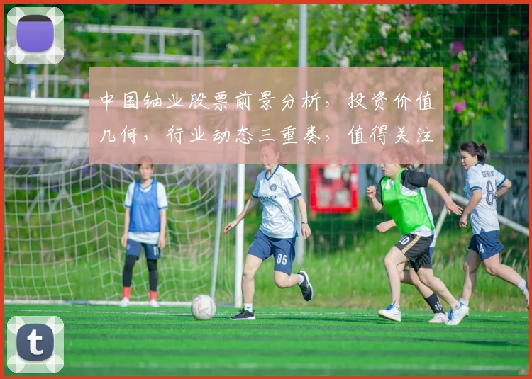 中国铀业股票前景分析，投资价值几何，行业动态三重奏，值得关注