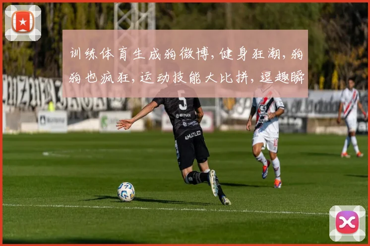 训练体育生成狗微博,健身狂潮,狗狗也疯狂,运动技能大比拼,逗趣瞬间大公开