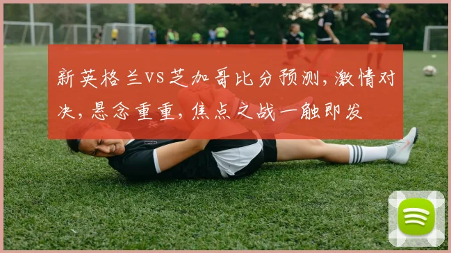 新英格兰vs芝加哥比分预测,激情对决,悬念重重,焦点之战一触即发