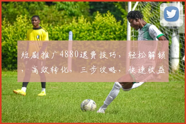 短剧推广4880退费技巧，轻松解锁，高效转化，三步攻略，快速收益，必看